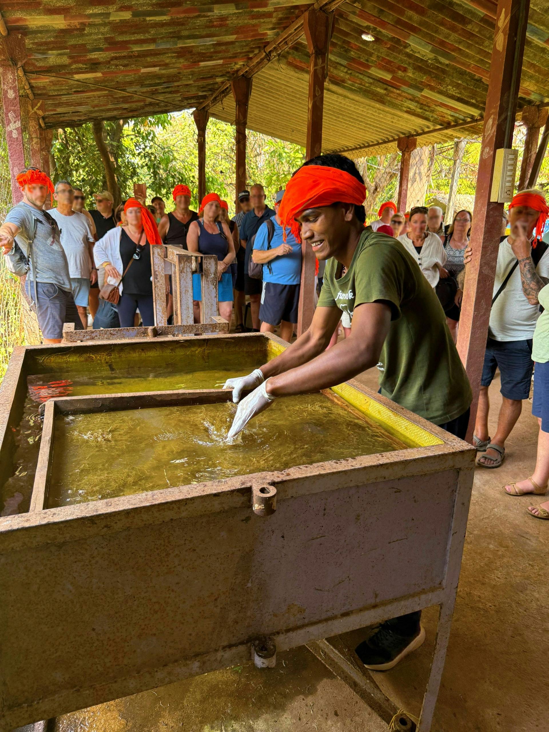 Goan jungle village tour with elephant experience