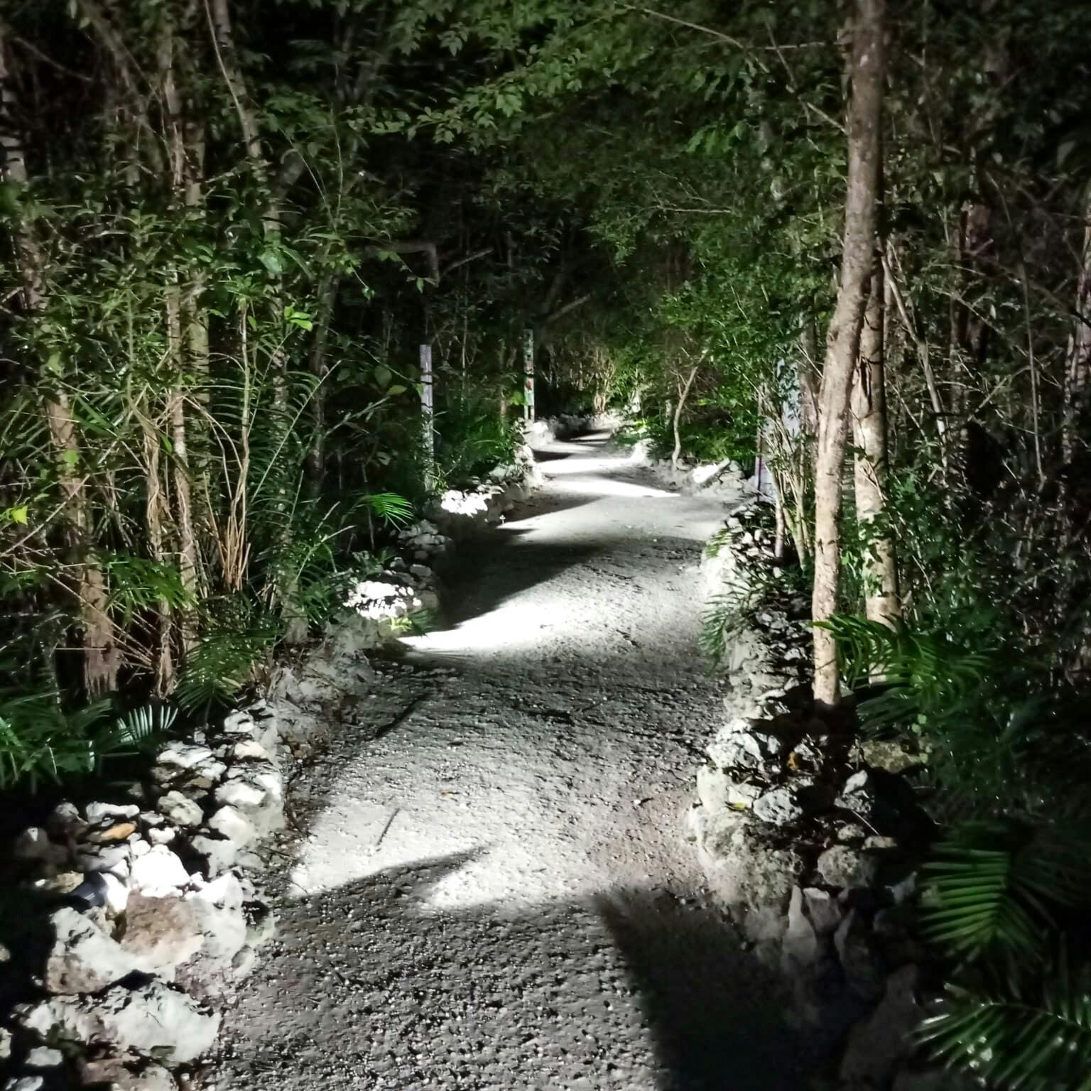 Sacred River at Night- Magic Mystic Memories