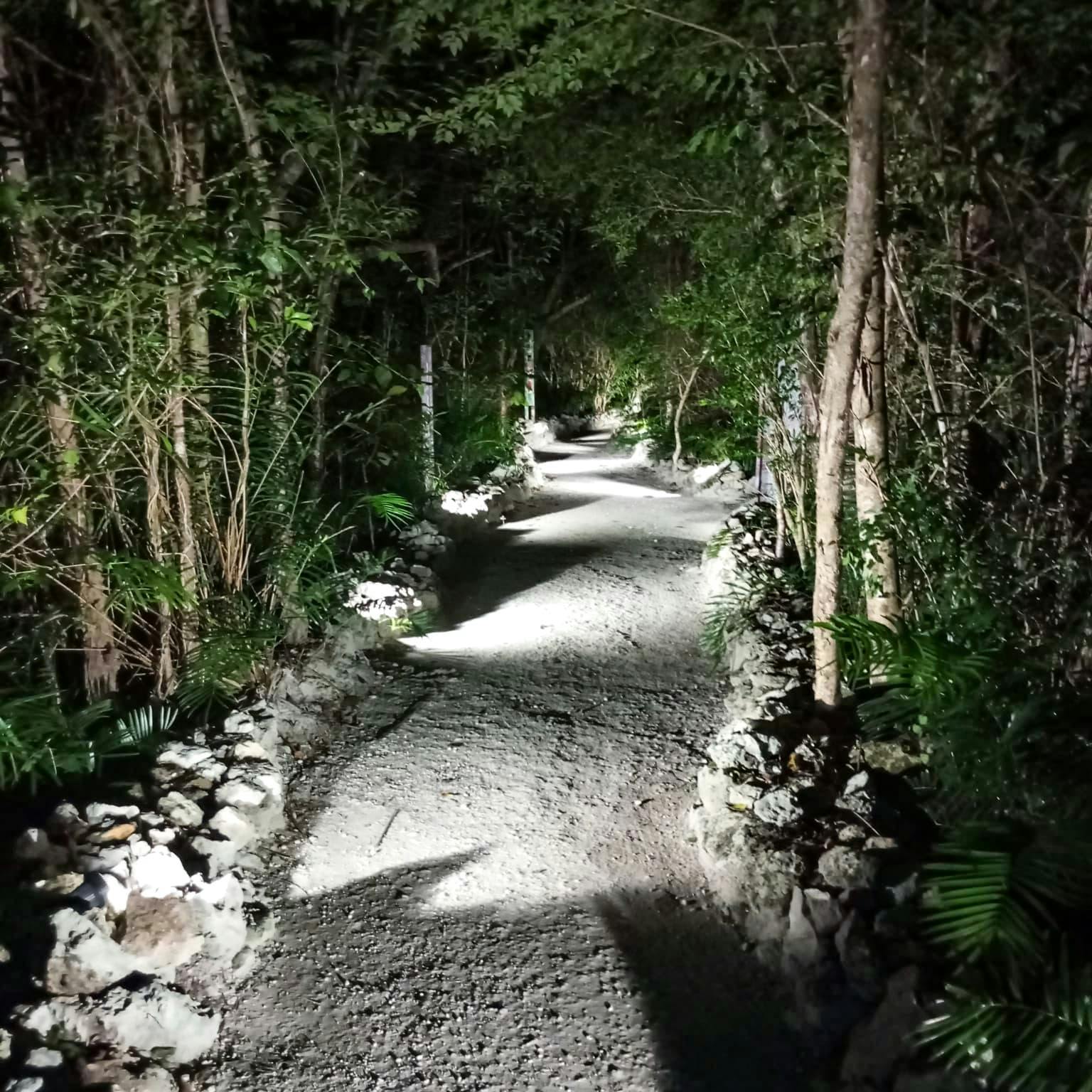 Sacred River at Night- Magic Mystic Memories