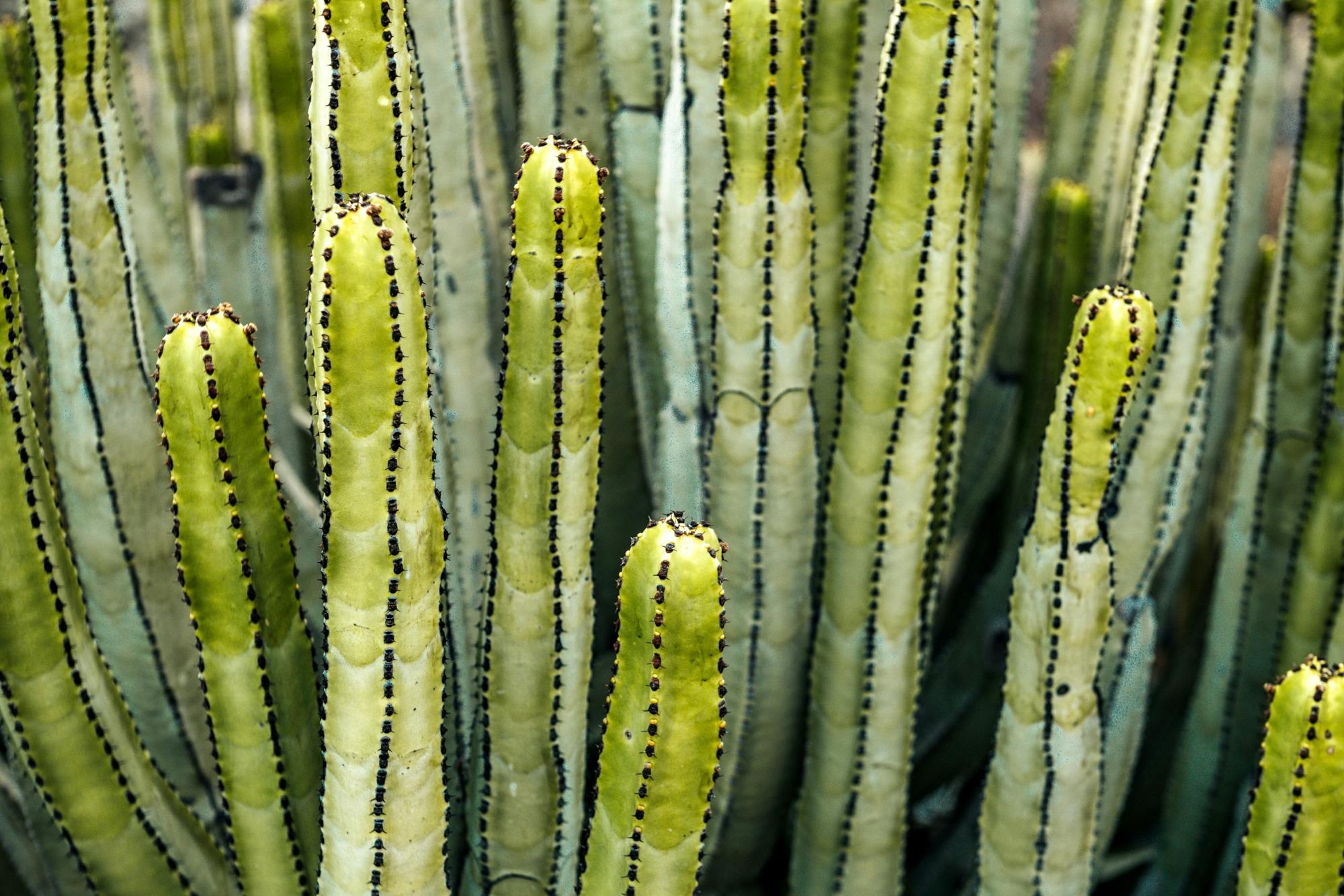 San Blas Environmental Reserve guided visit