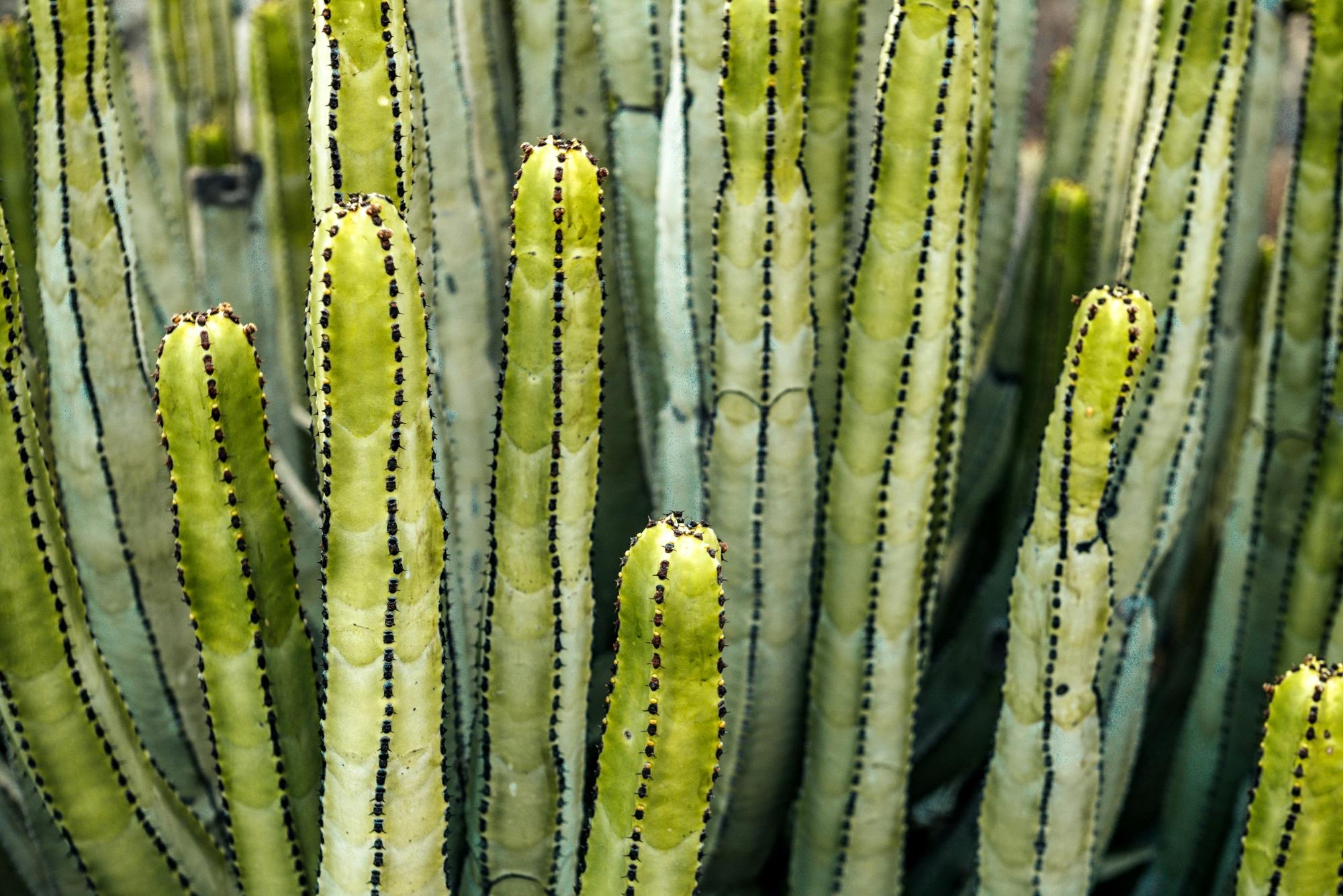San Blas Environmental Reserve guided visit