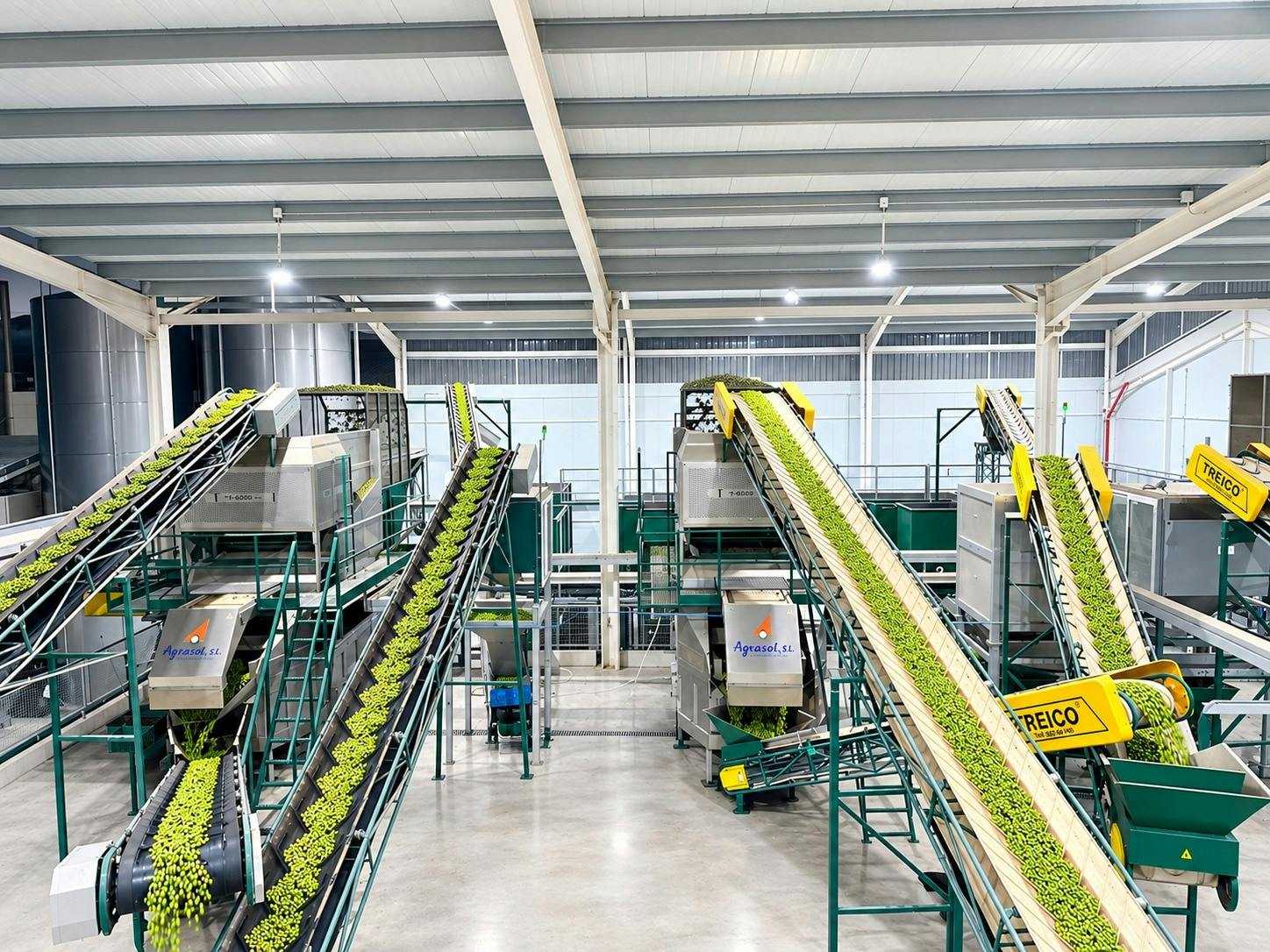 Total Solar Eclipse and olive oil experience in Andalusia