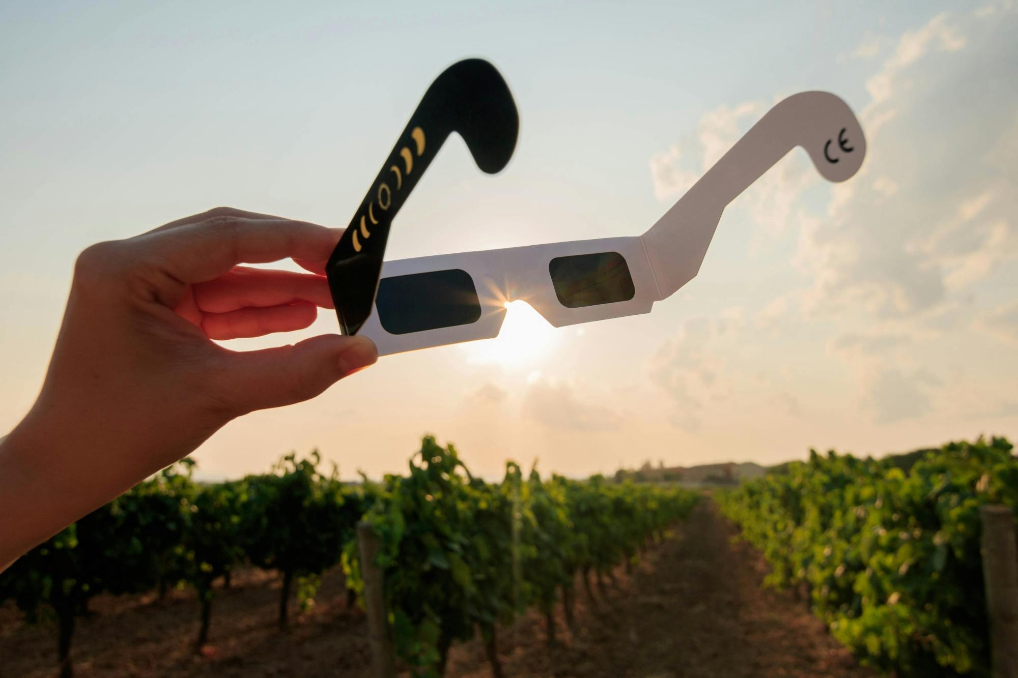 Total Solar Eclipse and olive oil experience in Andalusia