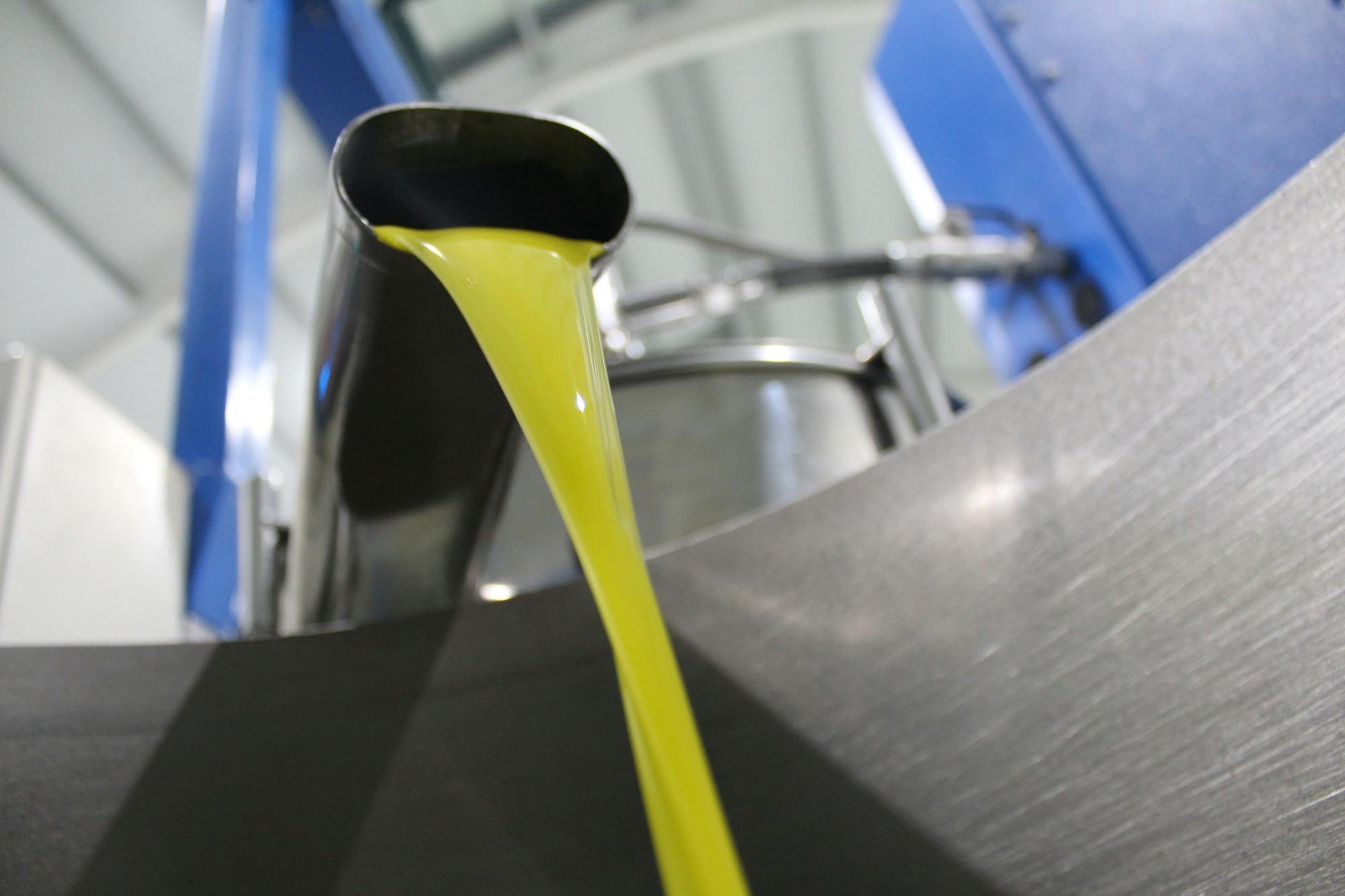 Total Solar Eclipse and olive oil experience in Andalusia
