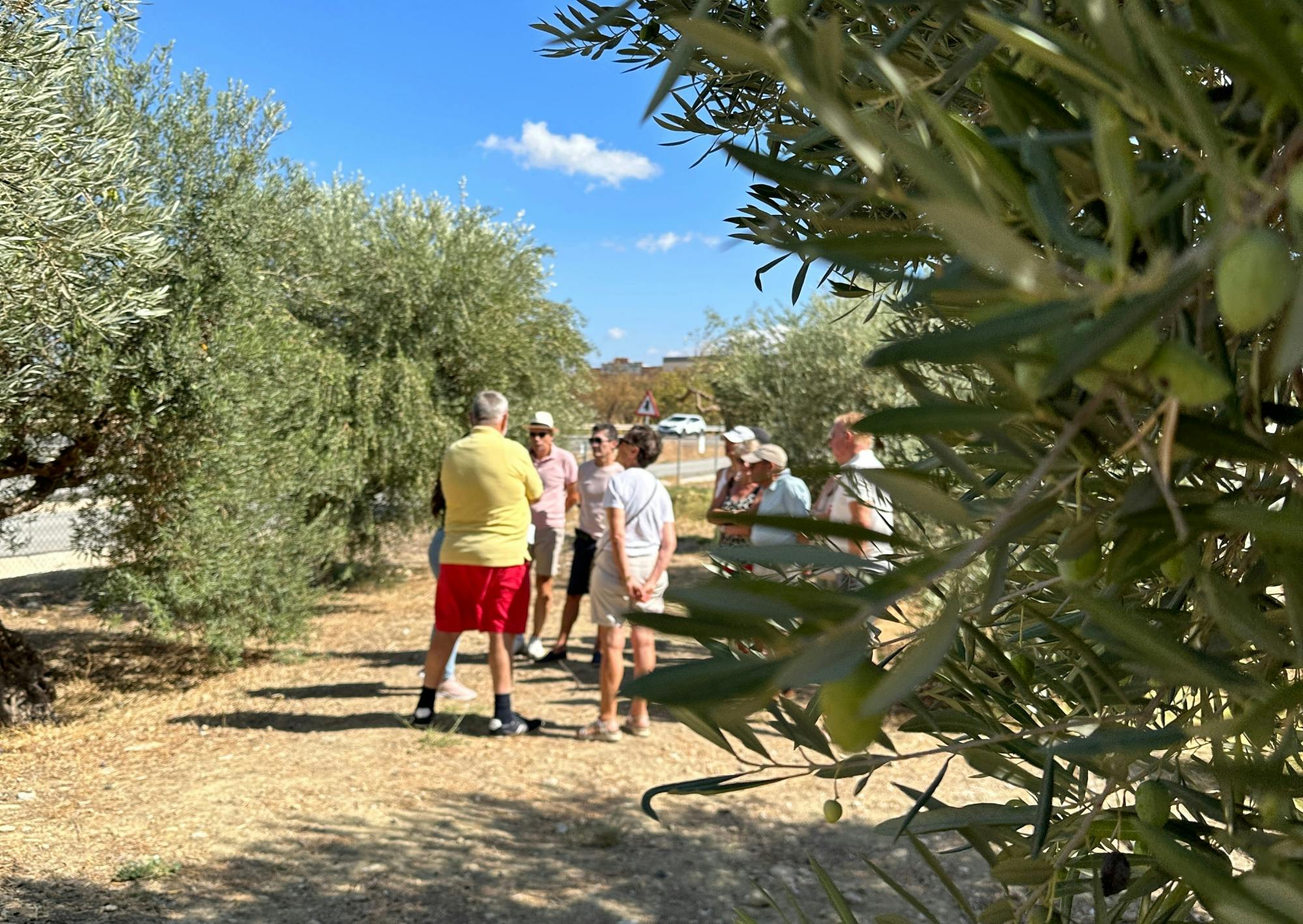 Total Solar Eclipse and olive oil experience in Andalusia