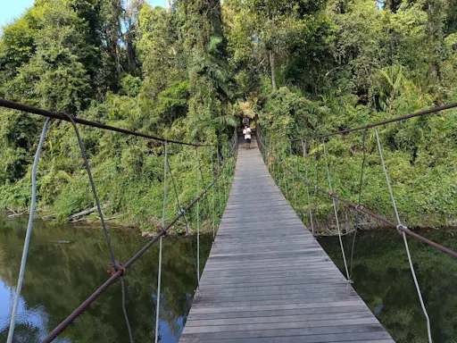 Trekking and Hiking at Khao Yai National Park From Bangkok