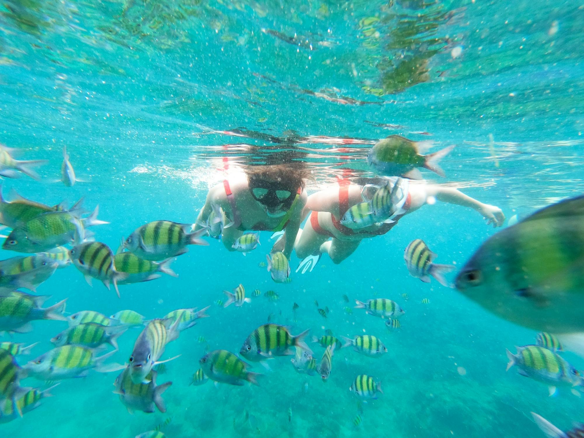 Oby catamaran cruise to Lobos Island with snorkelling