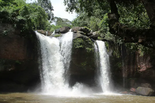 Trekking and Hiking at Khao Yai National Park From Bangkok