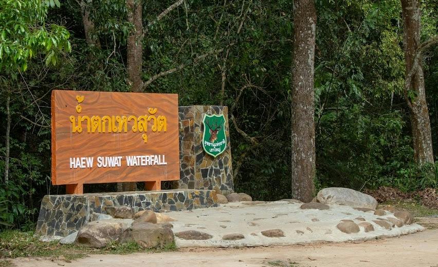 Trekking and Hiking at Khao Yai National Park From Bangkok