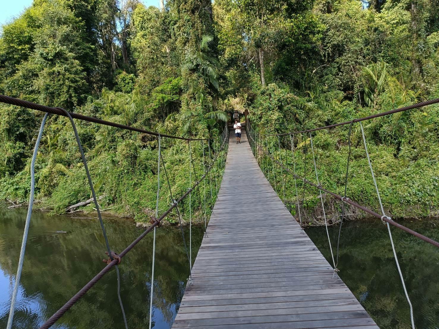 Trekking and Hiking at Khao Yai National Park From Bangkok