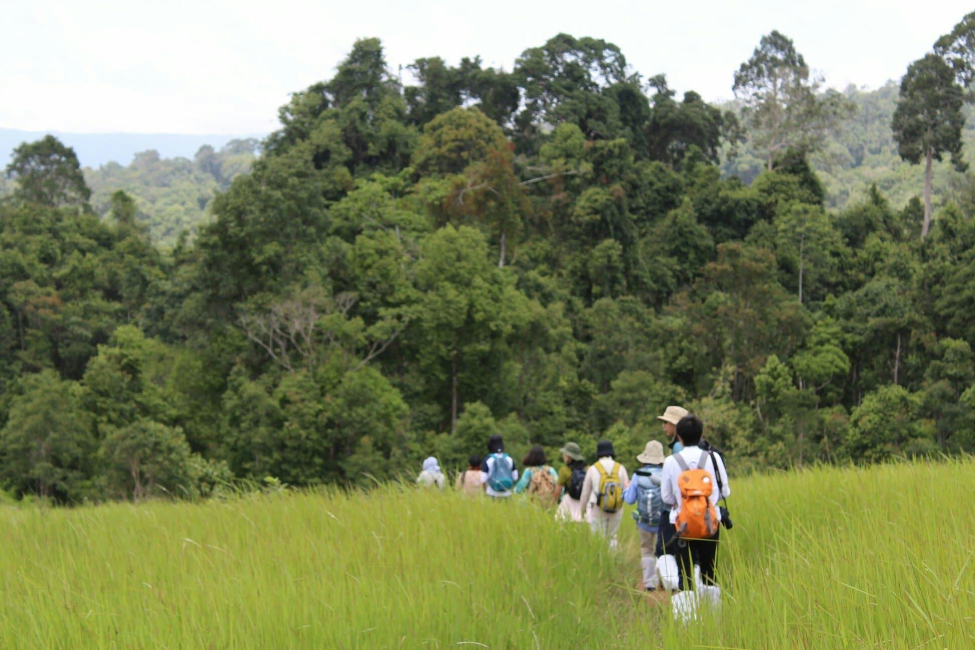 Trekking and Hiking at Khao Yai National Park From Bangkok