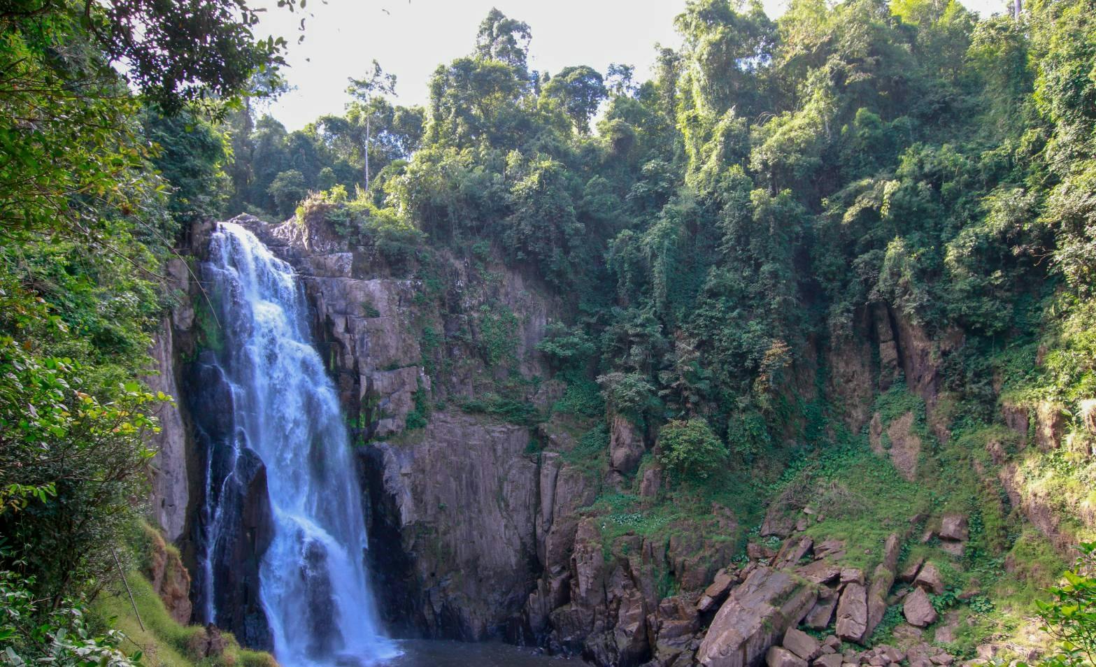 Trekking and Hiking at Khao Yai National Park From Bangkok