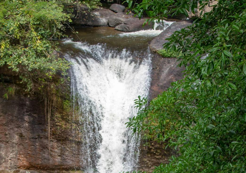 Trekking and Hiking at Khao Yai National Park From Bangkok