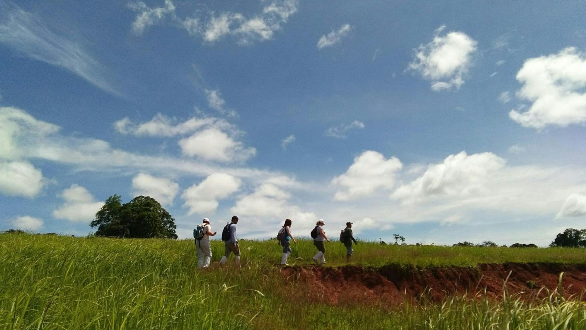 Trekking and Hiking at Khao Yai National Park From Bangkok