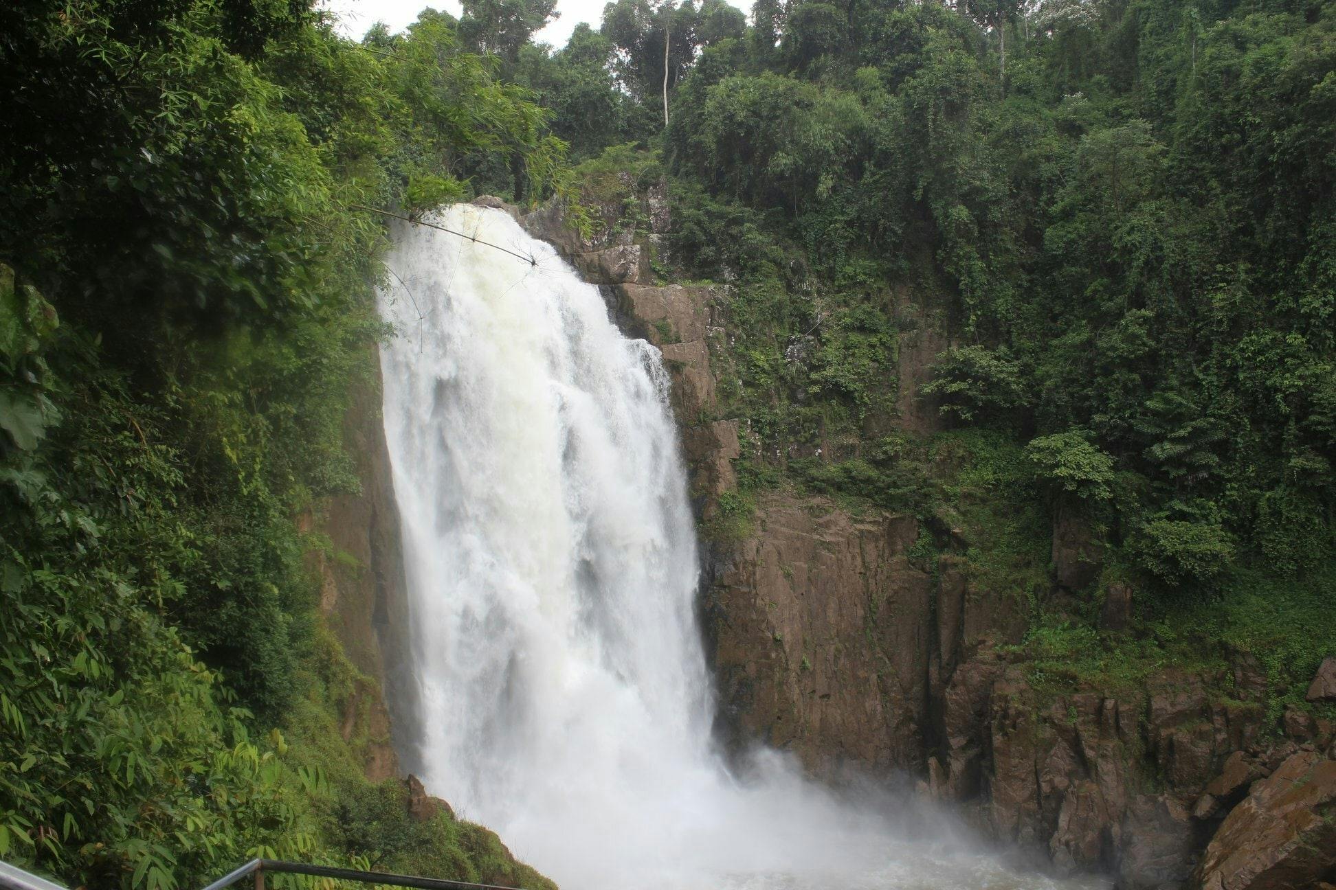 Trekking and Hiking at Khao Yai National Park From Bangkok