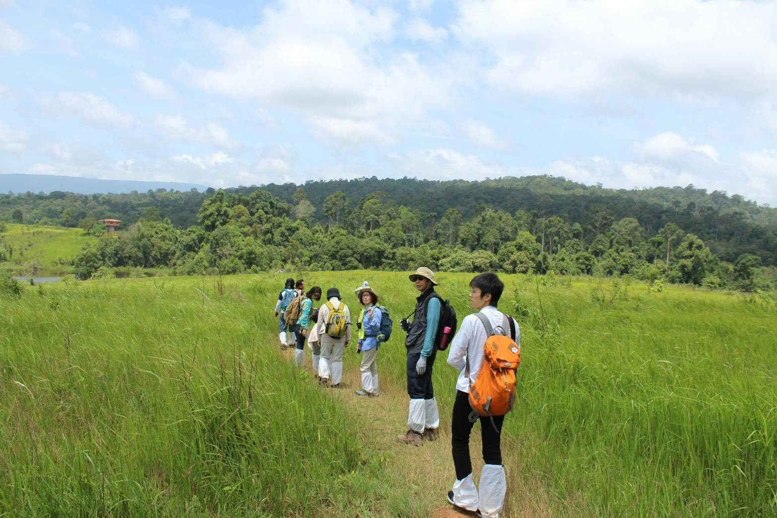 Trekking and Hiking at Khao Yai National Park From Bangkok