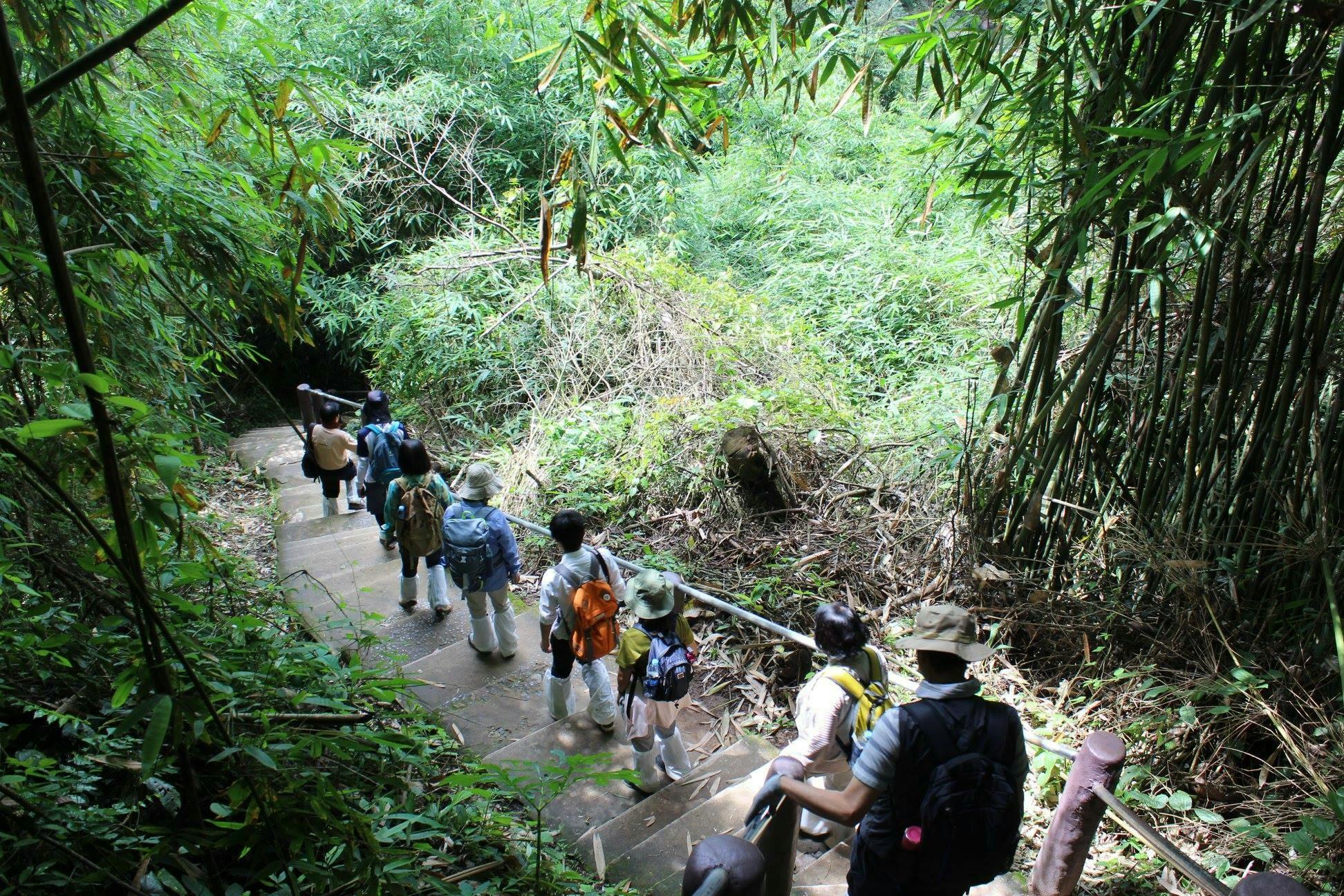 Trekking and Hiking at Khao Yai National Park From Bangkok