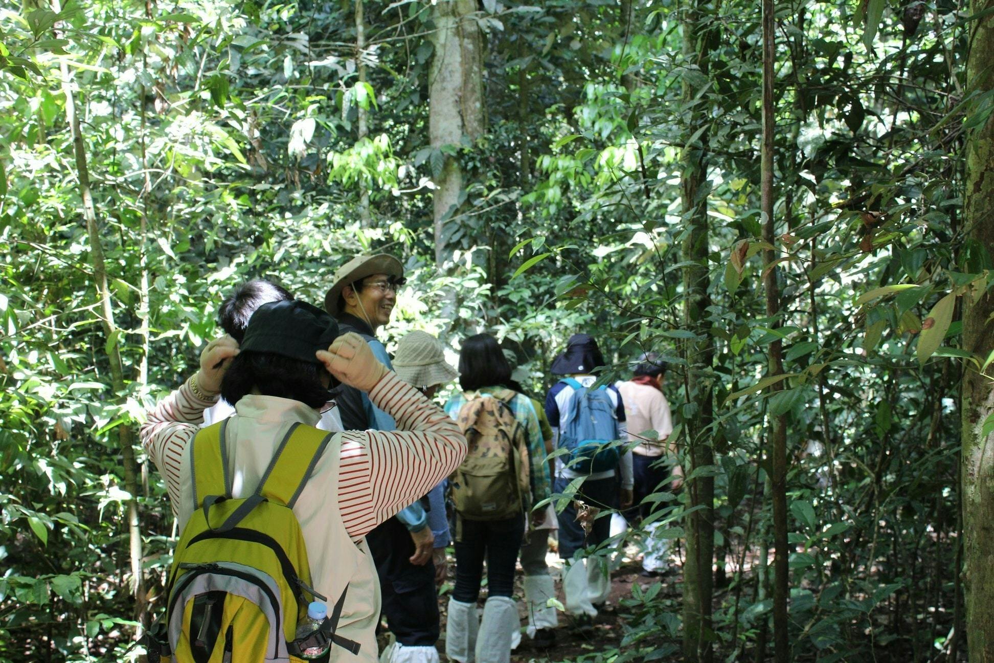 Trekking and Hiking at Khao Yai National Park From Bangkok