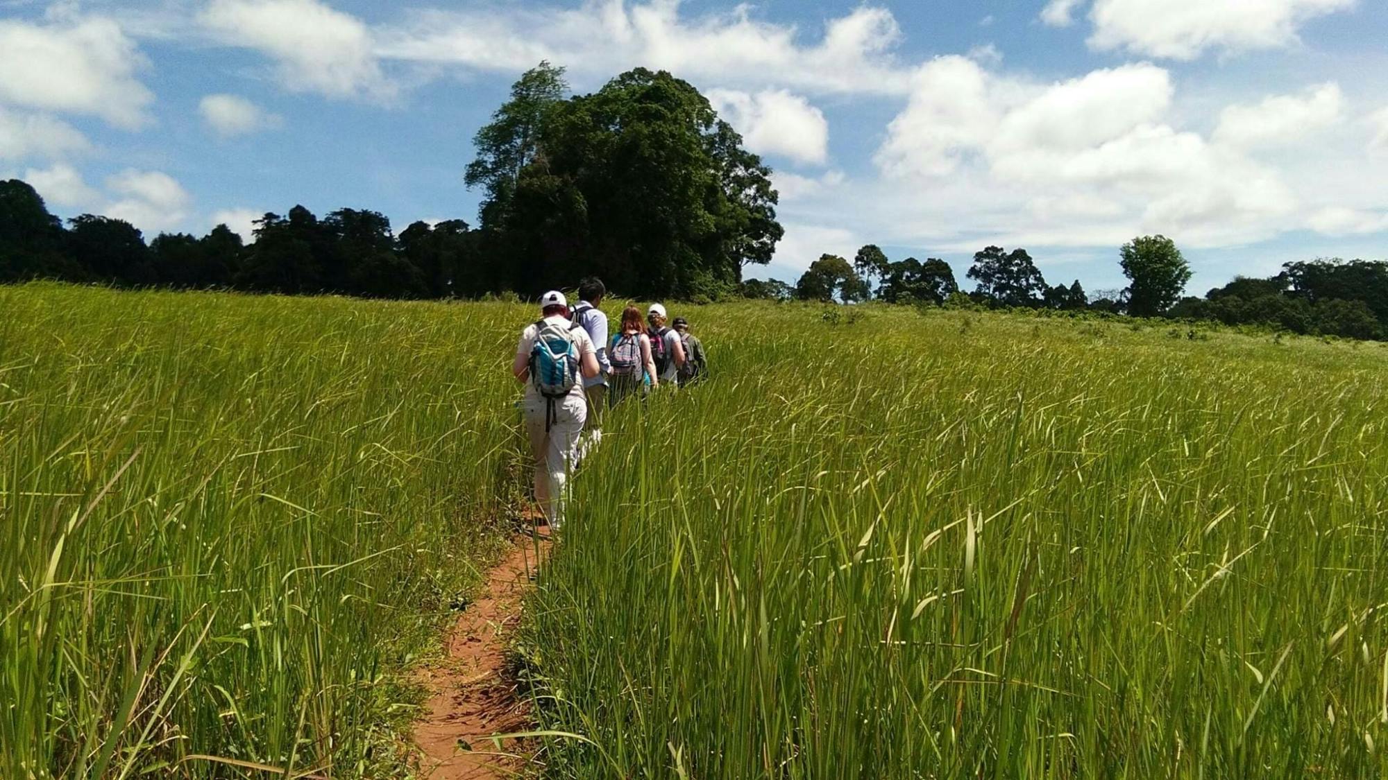 Trekking and Hiking at Khao Yai National Park From Bangkok