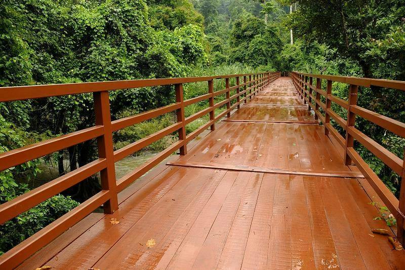 Trekking and Hiking at Khao Yai National Park From Bangkok