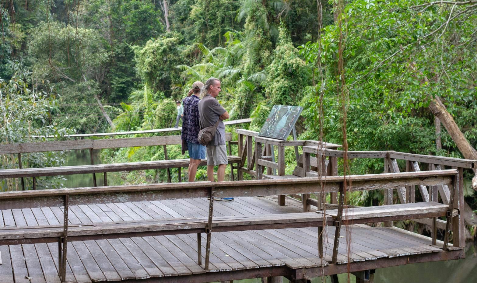Trekking and Hiking at Khao Yai National Park From Bangkok