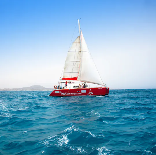 Oby catamaran cruise to Lobos Island with snorkelling
