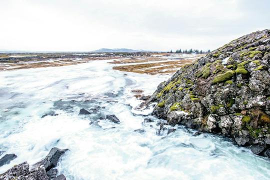 Excursion d'une journée complète « Musement Golden Circle » sans repas le midi