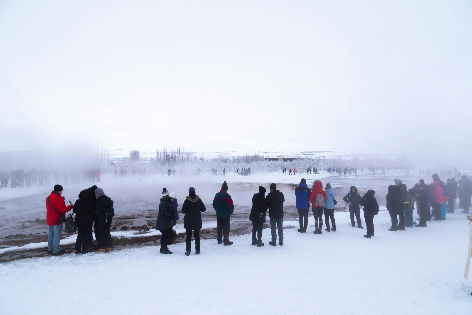 Musement Golden Circle full-day tour without lunch