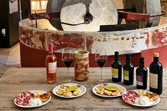 Hypogeum olive mill tour and oil tasting in Martina Franca
