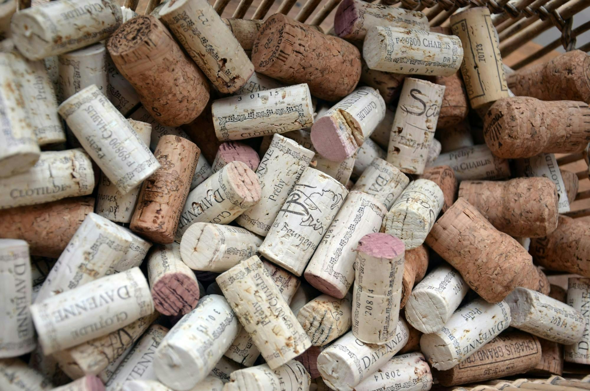 Visita guidata alla cantina Domaine Clotilde Davenne in inglese e degustazione di Chablis