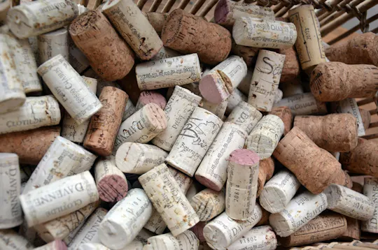 Visita guiada a la bodega Domaine Clotilde Davenne en inglés y cata de Chablis