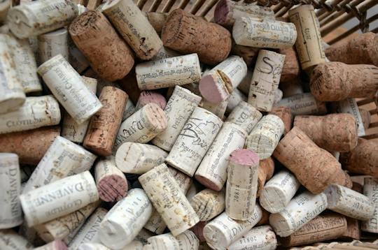 Domaine Clotilde Davenne winery tour in English and Chablis tasting