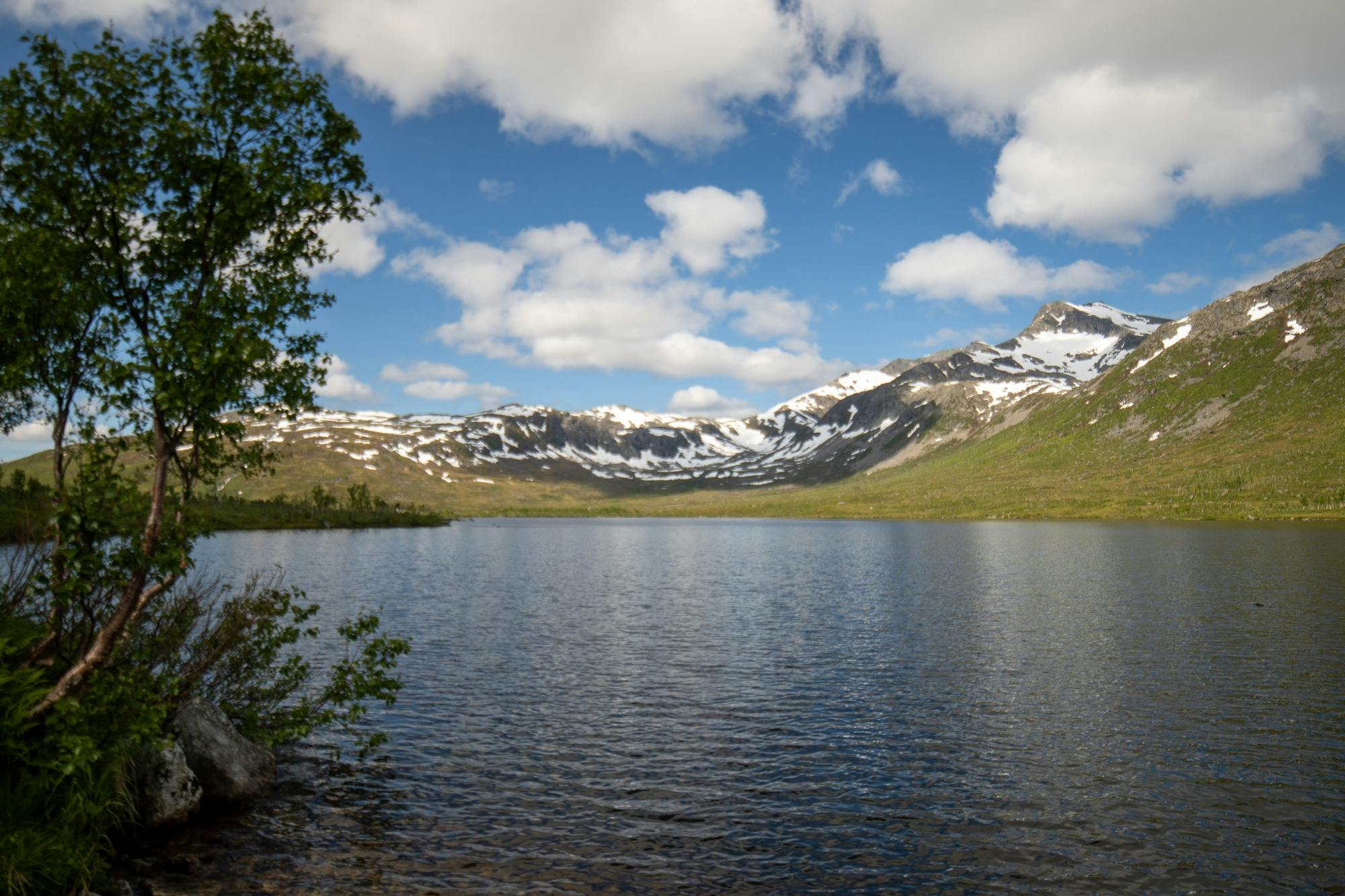 202610206ad7896610f5f.jpg