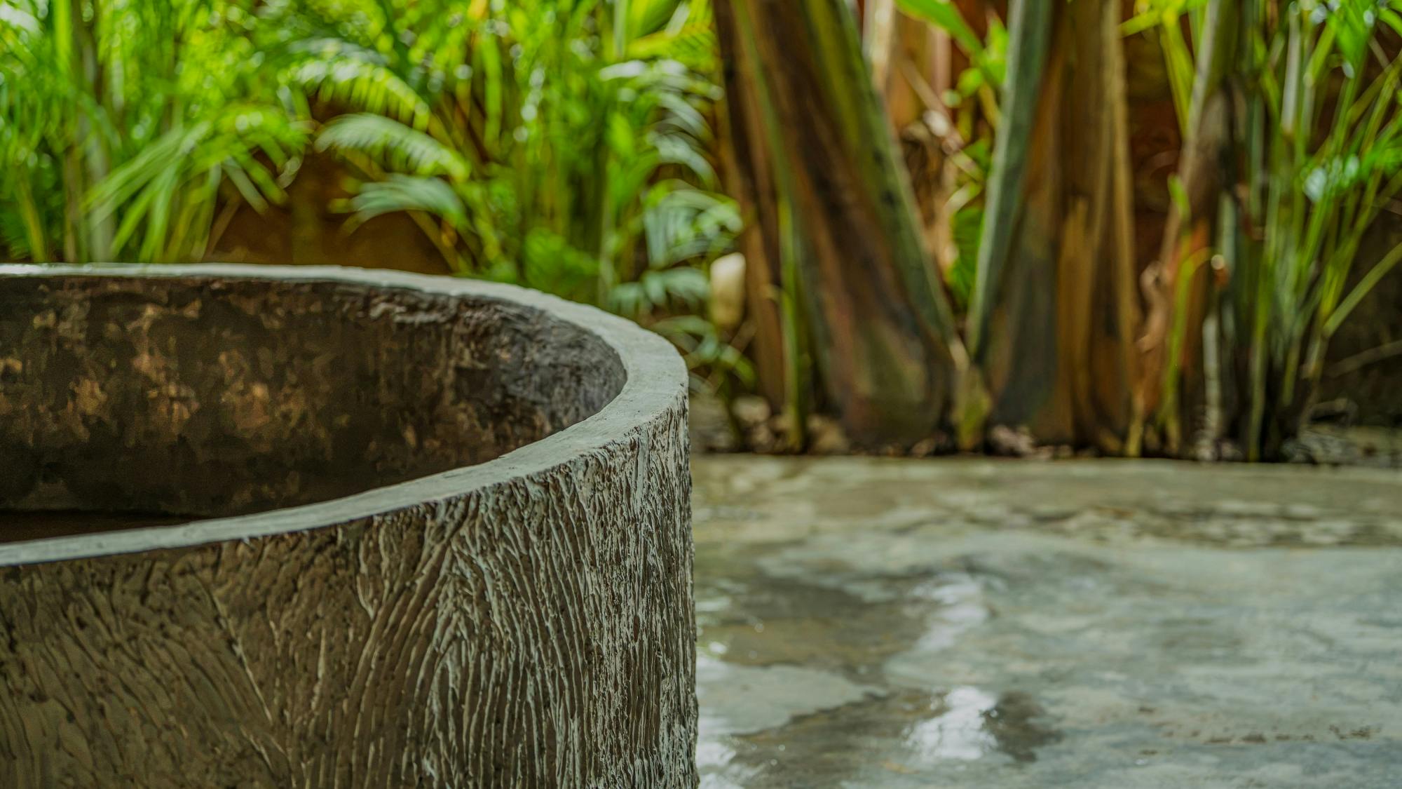 Goan mud bath wellness experience