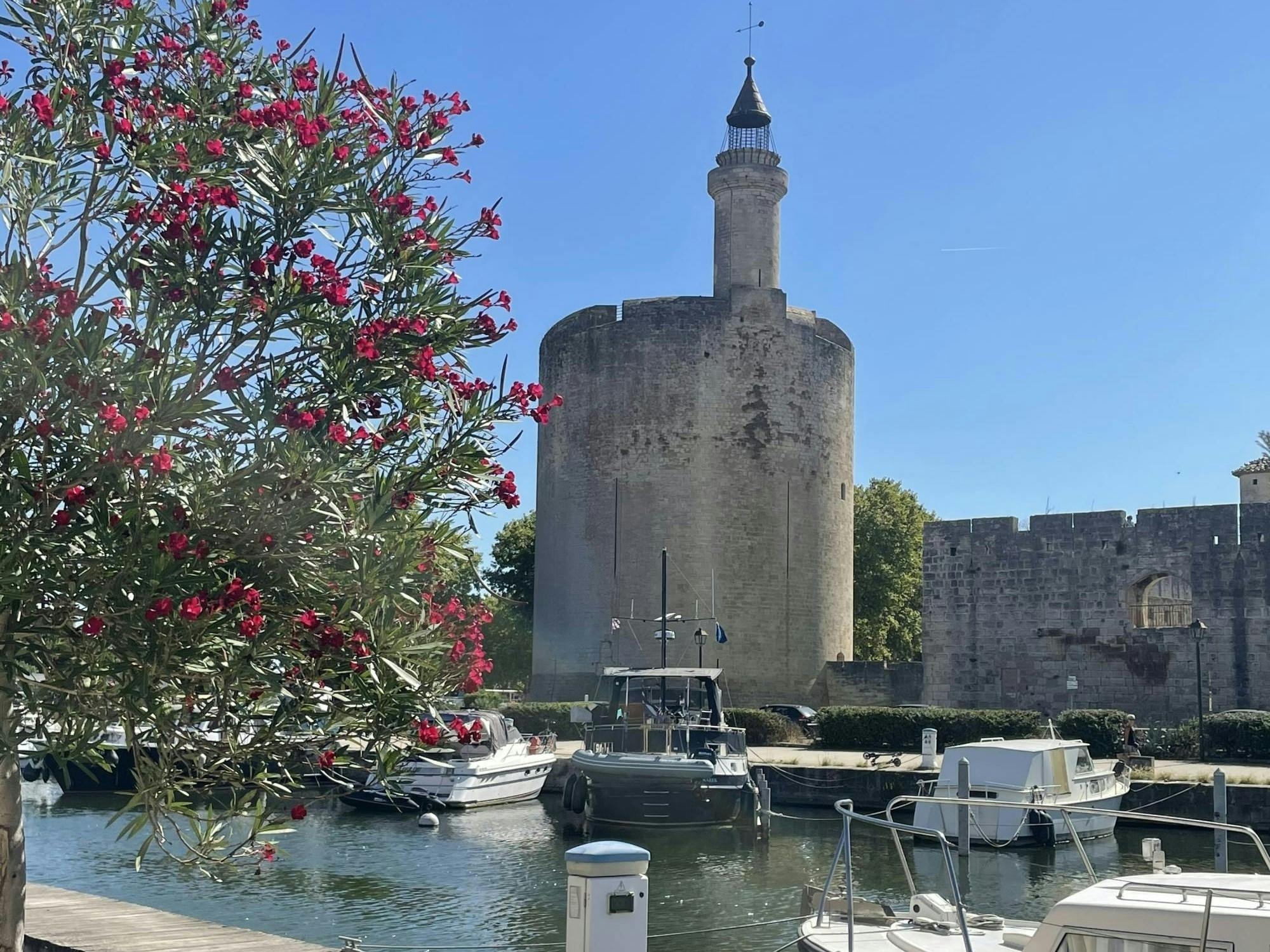 Excursión de medio día a la Camarga y a Aigues-Mortes desde Montpellier