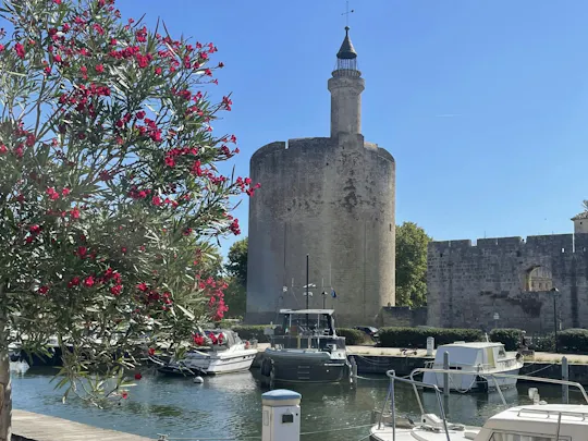Tour di mezza giornata alla Camargue e ad Aigues-Mortes con partenza da Montpellier