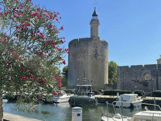 Excursión de medio día a la Camarga y a Aigues-Mortes desde Montpellier
