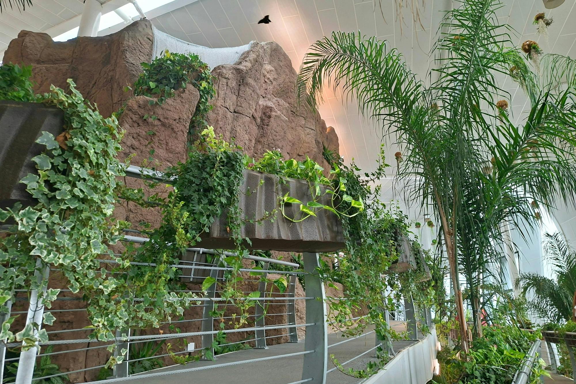 Antalya Butterfly World and Aquarium day out with transfers