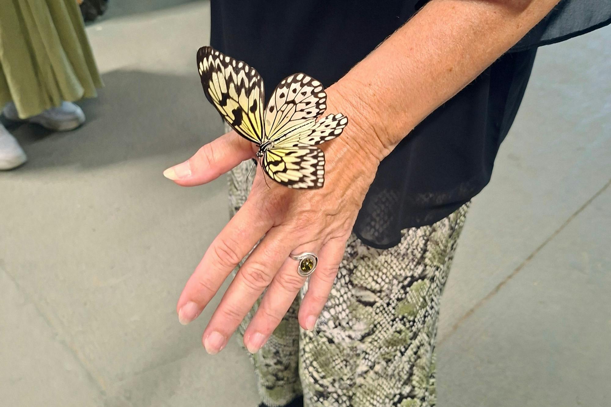 Antalya Butterfly World and Aquarium day out with transfers