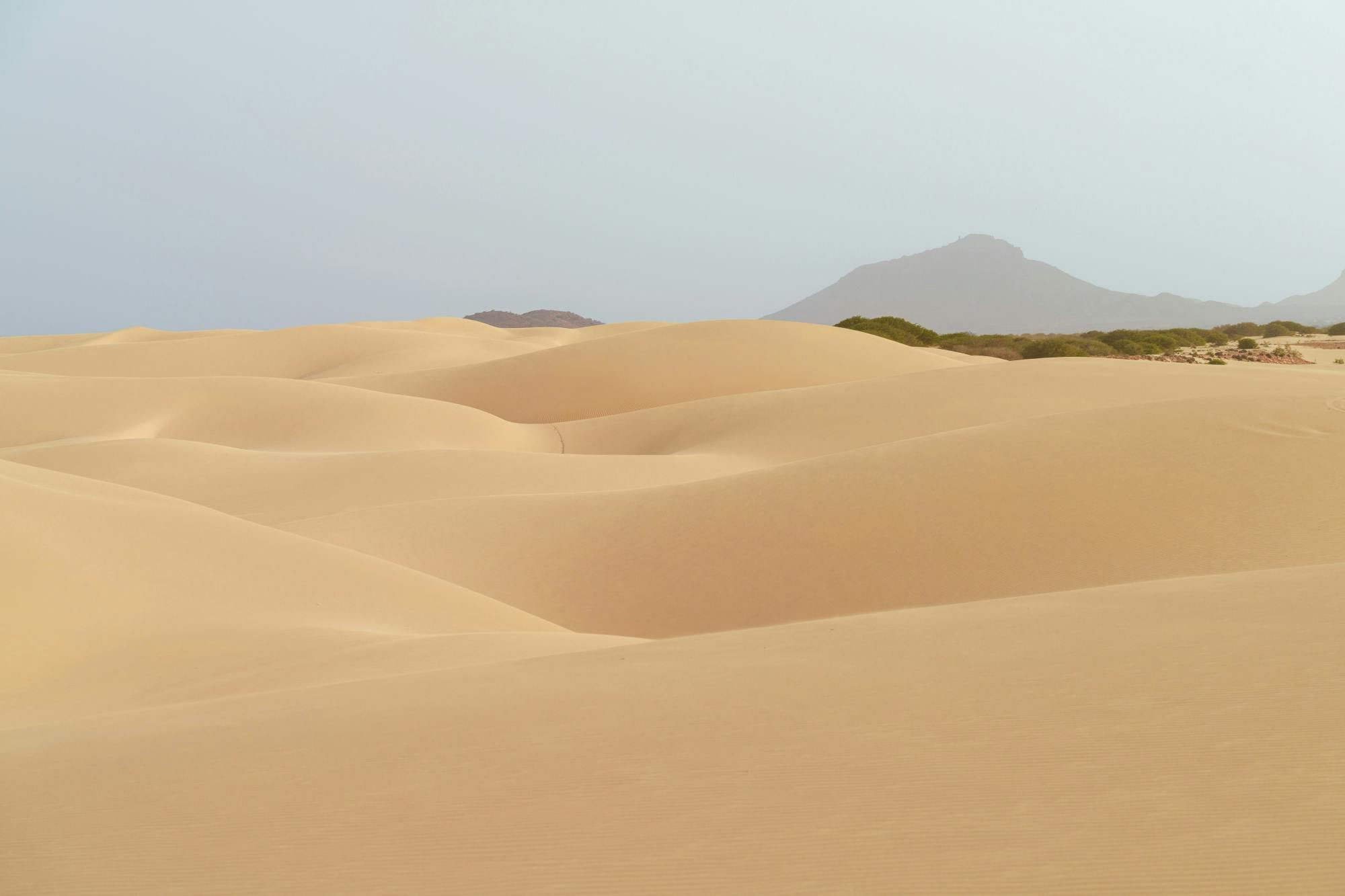 Family-friendly 4x4 buggy tour of southern Boa Vista