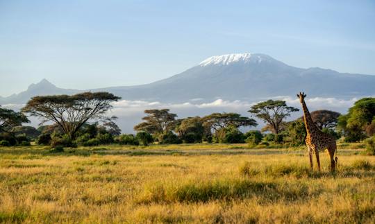 4-dniowe safari z obserwacją dzikiej przyrody na Kilimandżaro przez parki Tsavo West i Amboseli