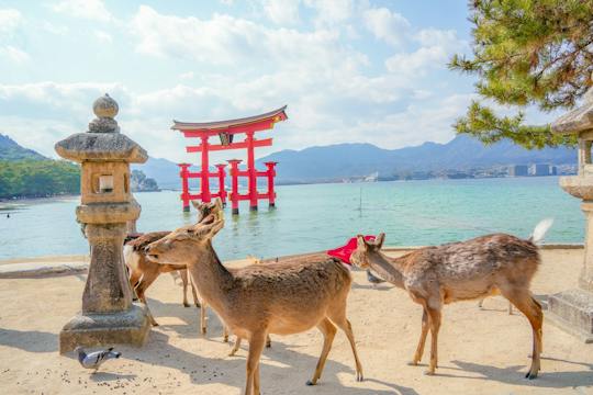 Day trip to Hiroshima and Miyajima by bullet train from Tokyo