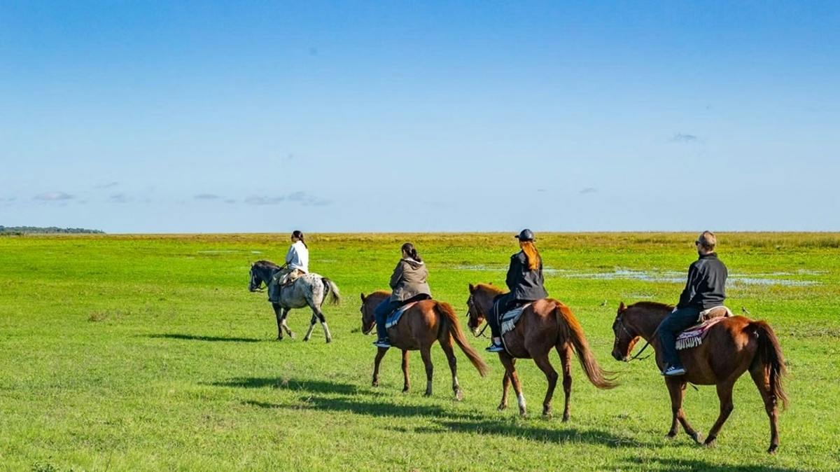 3-tägiges Naturerlebnis in den Iberá-Feuchtgebieten