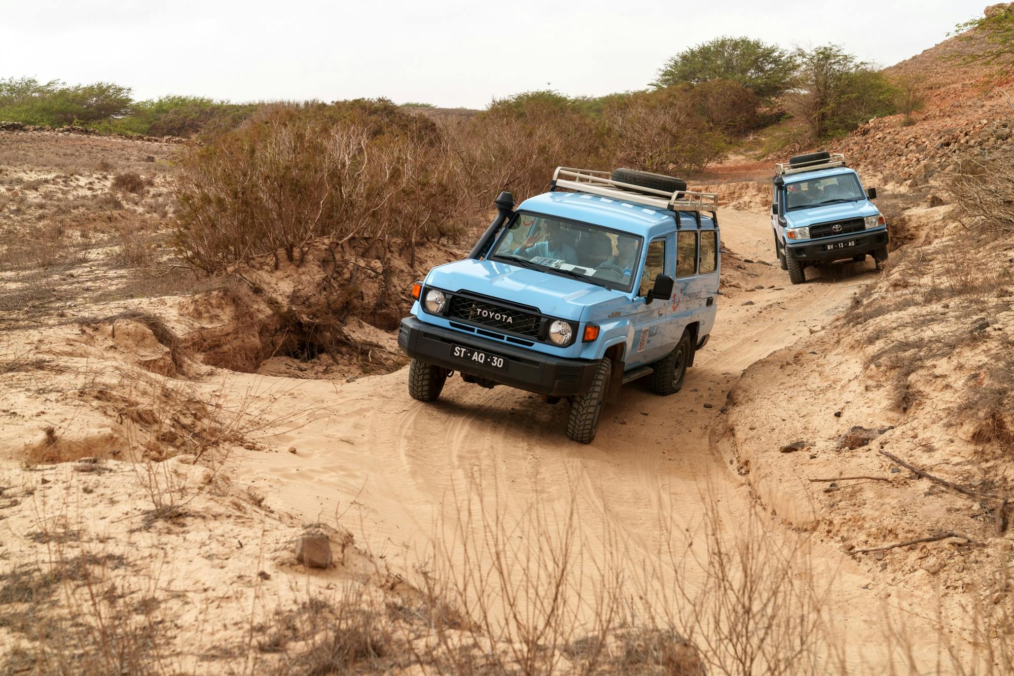 Południe Boa Vista – wycieczka samochodem z napędem 4x4 z pustynią Viana i wioskami
