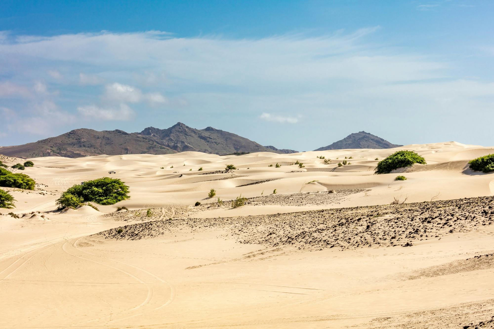 Half-day southern Boa Vista 4x4 tour with Viana Desert