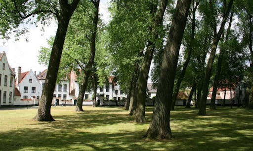 Bruges: Excursion from Amsterdam
