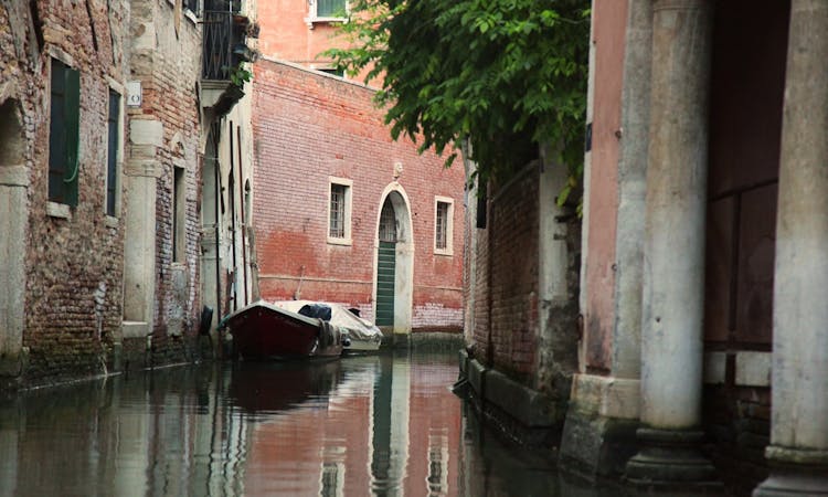 Full-day private walking tour of Venice