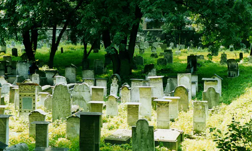 Kraków Walking Tour - Jewish Quarter