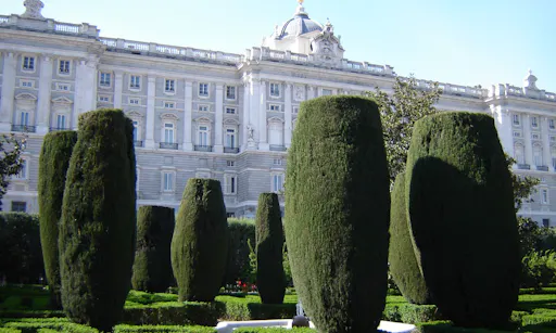 Madrid Highlights + Entrance and Guided Tour  to the Royal Palace