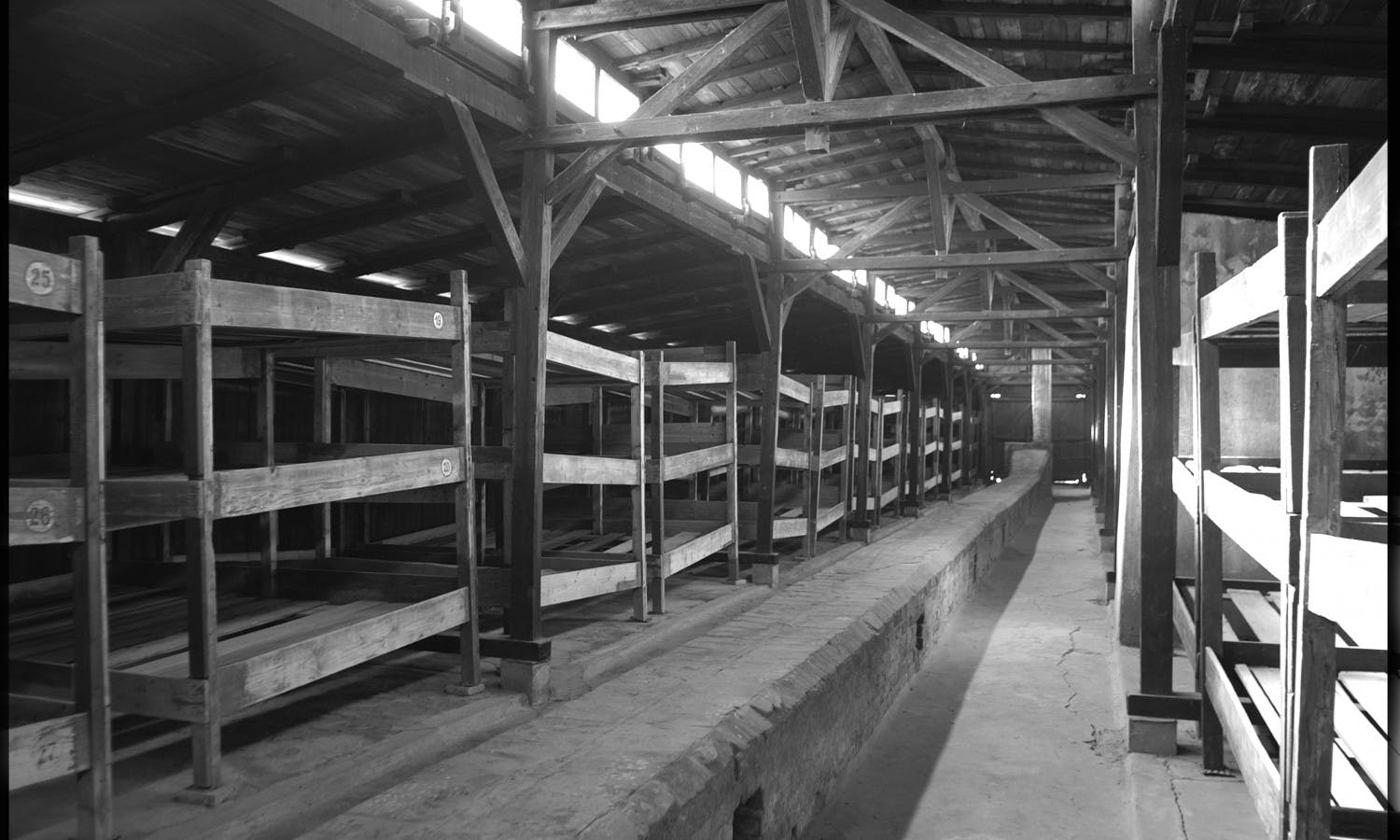 Auschwitz Museum Exclusive Guided Tour Musement